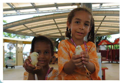 Two children holding chicks